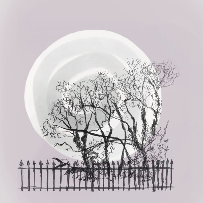 Trees at dusk white moon purple sky